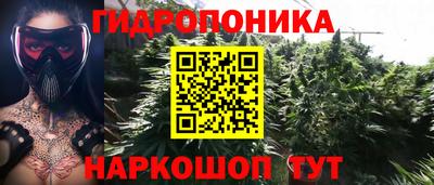 молекула духа Донецк