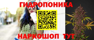 молекула духа Донецк