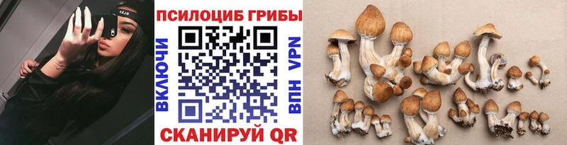 сайты даркнета как зайти  цена   Михайловка  Псилоцибиновые грибы Psilocybine cubensis 