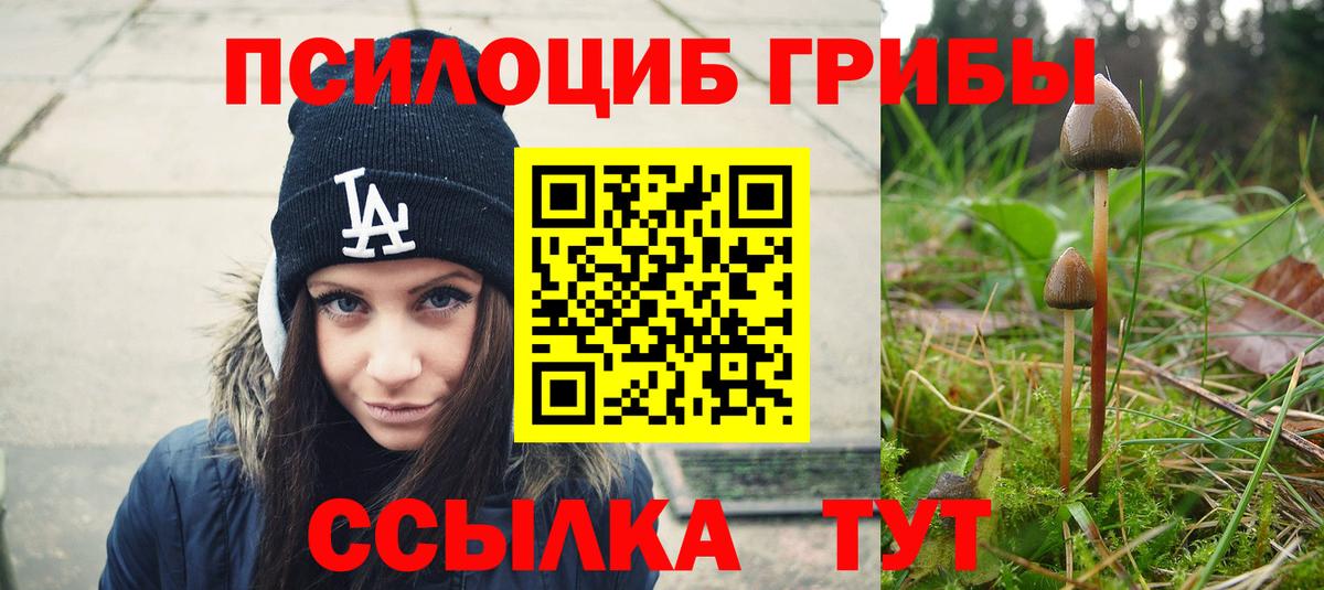 Псилоцибиновые грибы ЛСД Михайловка